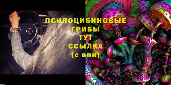 a pvp Алзамай