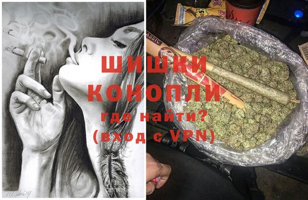 сатива Абаза