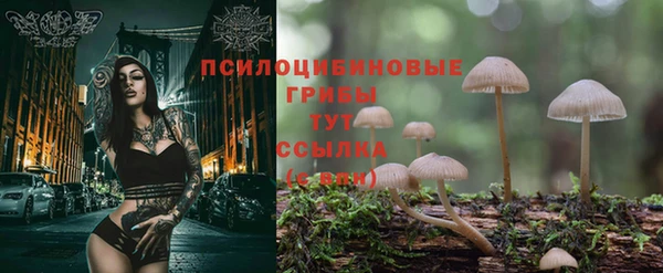 сатива Абаза