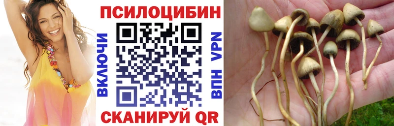 Галлюциногенные грибы GOLDEN TEACHER  ОМГ ОМГ tor  Северская  даркнет сайт 